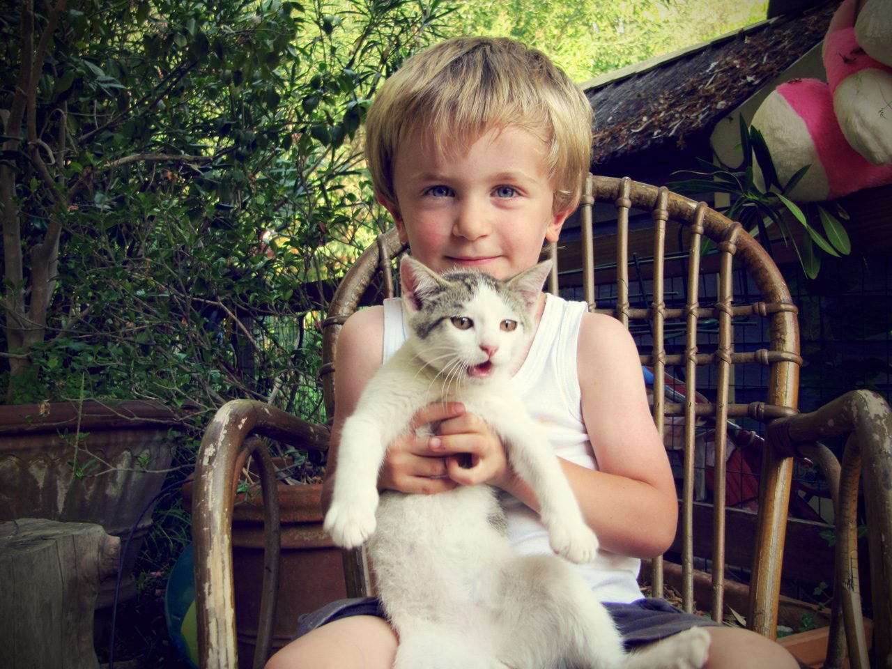 Noè con Scappetto