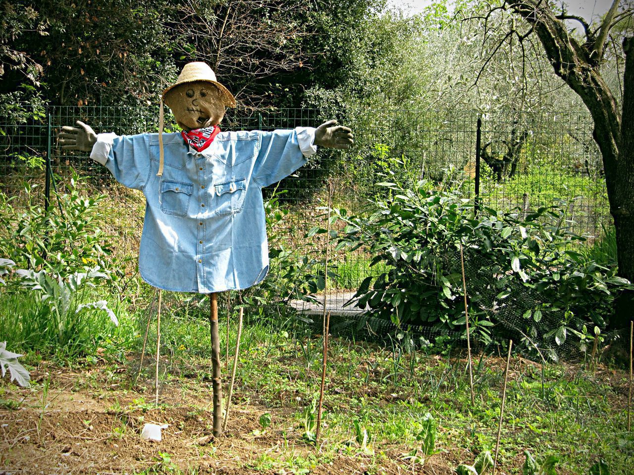 Buona Pasquetta!