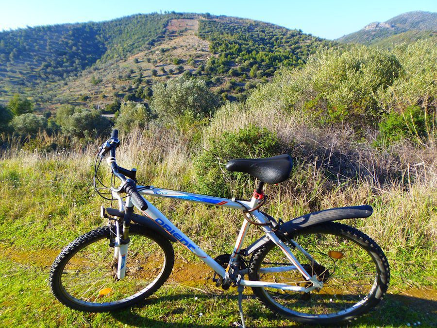 Una mountain bike blu e argento si trova su un sentiero erboso con arbusti verdi, sullo sfondo di colline illuminate dal sole e coperte di alberi e di un cielo azzurro e limpido.