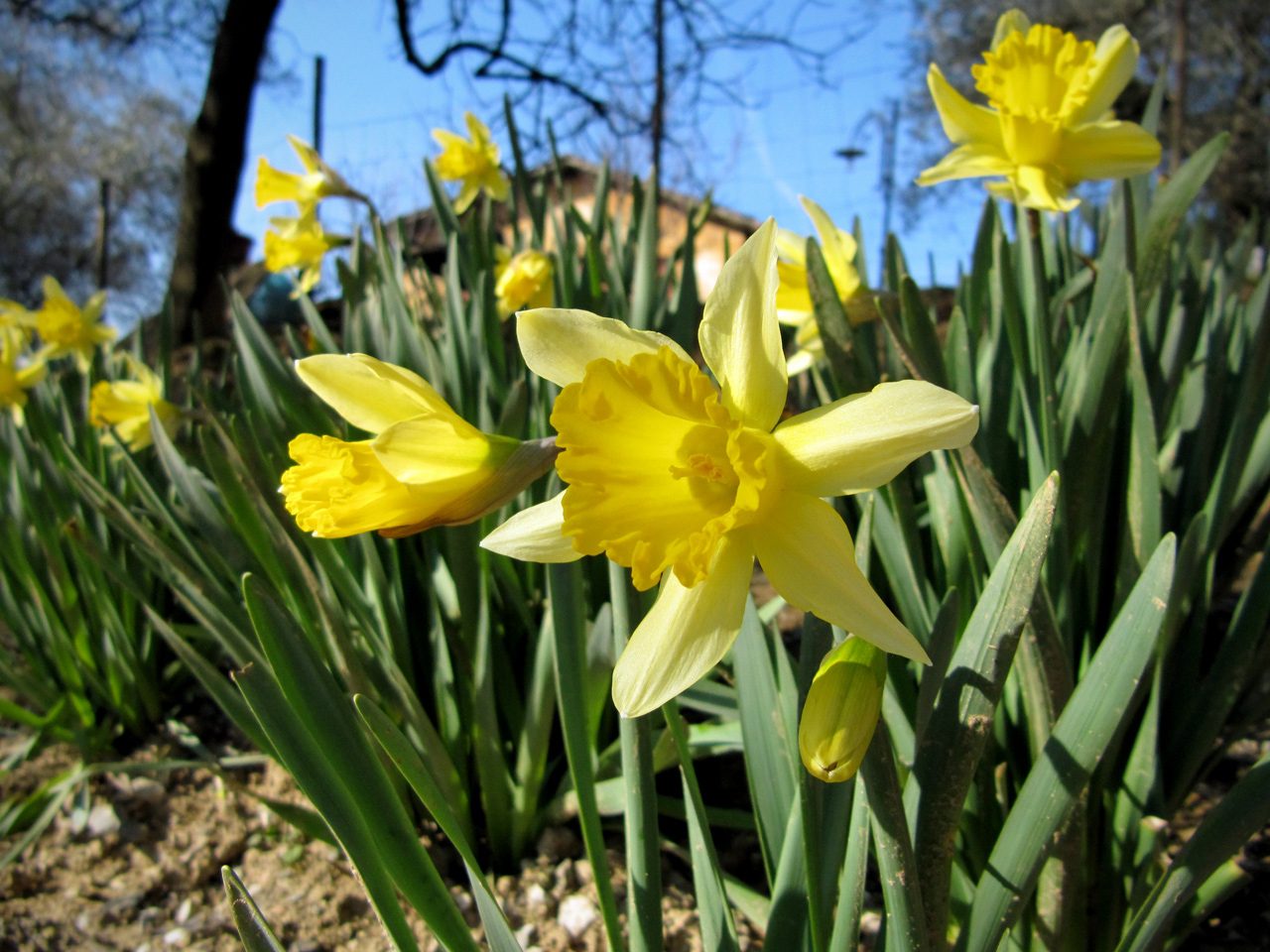Primavera in arrivo